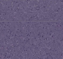 Forbo Sphera Element 50035 purple heart фото 2 | FLOORDEALER